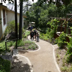 Home Demonstration Garden Renovation, view 33, looking south along path west of Herbarium