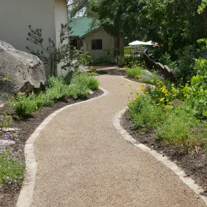 Home Demonstration Garden Renovation, Eco-Pave path west of Herbarium