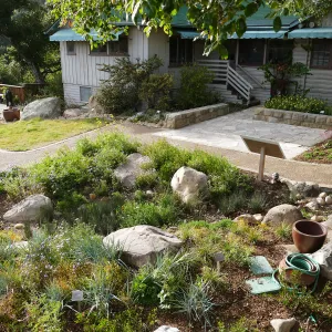 Home Demonstration Garden Renovation, view 35, overview of display from southeast