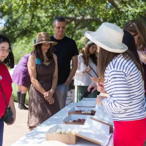 Cultivating the Wild: Native Gardens Tour and 90th Birthday Celebration