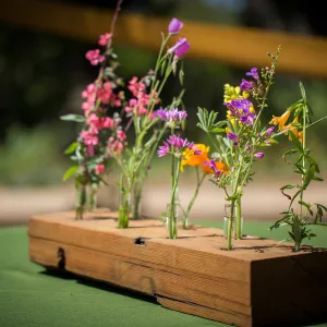 Cultivating the Wild: Native Gardens Tour and 90th Birthday Celebration, Wildflower Display