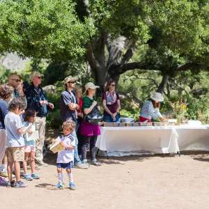 Cultivating the Wild: Native Gardens Tour and 90th Birthday Celebration