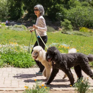 Cultivating the Wild: Native Gardens Tour and 90th Birthday Celebration