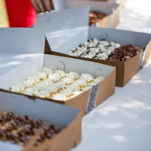 Cultivating the Wild: Native Gardens Tour and 90th Birthday Celebration, Cupcakes by Crushcakes