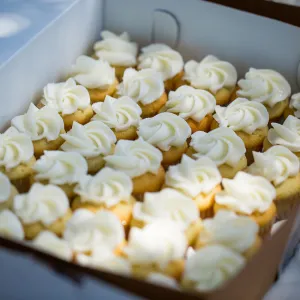 Cultivating the Wild: Native Gardens Tour and 90th Birthday Celebration, Cupcakes by Crushcakes