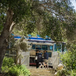 Cultivating the Wild: Native Gardens Tour and 90th Birthday Celebration, Georgia's Smokehouse food truck