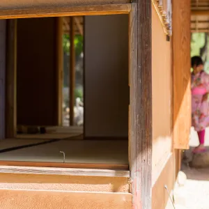 Cultivating the Wild: Native Gardens Tour and 90th Birthday Celebration, Teahouse