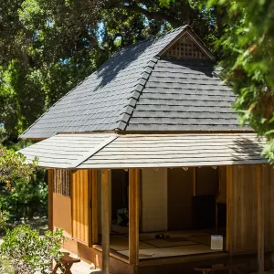 Cultivating the Wild: Native Gardens Tour and 90th Birthday Celebration, Teahouse