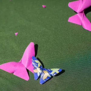 Cultivating the Wild: Native Gardens Tour and 90th Birthday Celebration, Origami