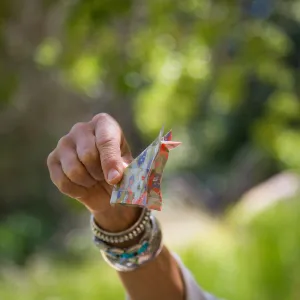 Cultivating the Wild: Native Gardens Tour and 90th Birthday Celebration, origami workshop