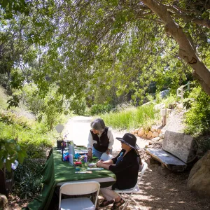 Cultivating the Wild: Native Gardens Tour and 90th Birthday Celebration, Origami workshop
