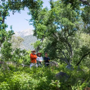 Cultivating the Wild: Native Gardens Tour and 90th Birthday Celebration