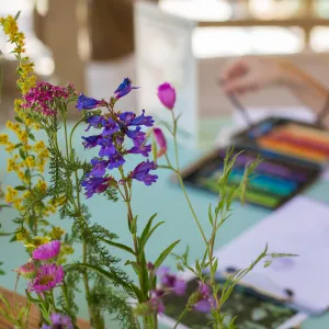 Cultivating the Wild: Native Gardens Tour and 90th Birthday Celebration, Coloring from life