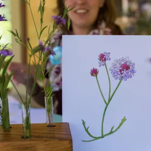 Cultivating the Wild: Native Gardens Tour and 90th Birthday Celebration, Coloring Page, Kate Davis