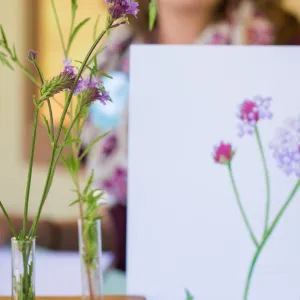 Cultivating the Wild: Native Gardens Tour and 90th Birthday Celebration, Coloring Page, Kate Davis