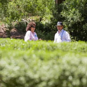 Cultivating the Wild: Native Gardens Tour and 90th Birthday Celebration, Centennial Maze, Lenore Hughes, Steve Windhager