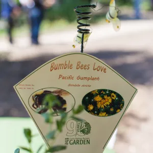 Cultivating the Wild: Native Gardens Tour and 90th Birthday Celebration, Bumble Bee Plant Quest