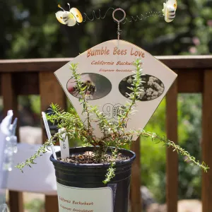 Cultivating the Wild: Native Gardens Tour and 90th Birthday Celebration, Bumble Bee Plant Quest