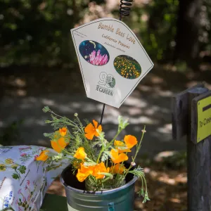 Cultivating the Wild: Native Gardens Tour and 90th Birthday Celebration, Bumble Bee Plant Quest