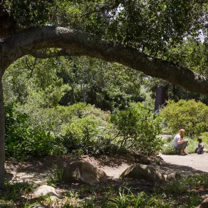 Cultivating the Wild: Native Gardens Tour and 90th Birthday Celebration