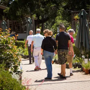 Cultivating the Wild: Native Gardens Tour and 90th Birthday Celebration, plant sale in Courtyard