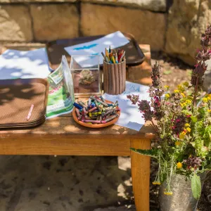 Cultivating the Wild: Native Gardens Tour and 90th Birthday Celebration