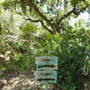 Cultivating the Wild: Native Gardens Tour and 90th Birthday Celebration