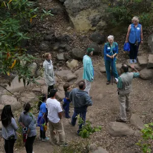 Member Appreciation Month, Full Moon Hike, hikers at lower creek crossing