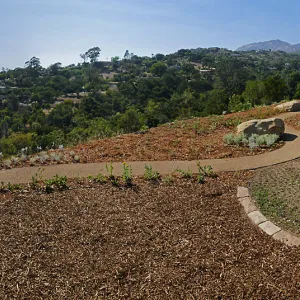Island View Garden Installation, panorama from boulder near south steps