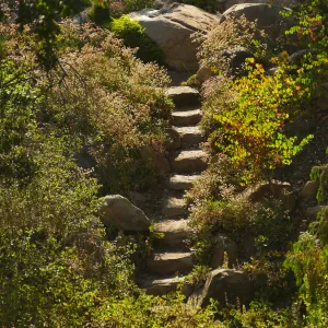 Steps between Manzanita Section and Arroyo Section just above the Tea House