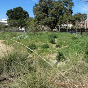 Natural History Museum of Los Angeles, Nature Gardens