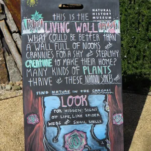 Natural History Museum of Los Angeles, Nature Gardens, Rock Wall, aka Living Wall signage