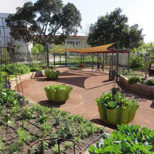 Natural History Museum of Los Angeles, Nature Gardens, Edible Garden