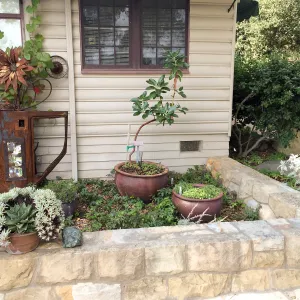 Home Demo Garden