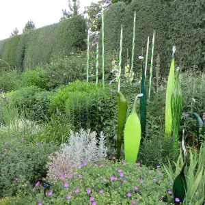 Denver Botanic Garden, APGA meeting. Dale Chihuly sculpture with Allium christophii and Geranium