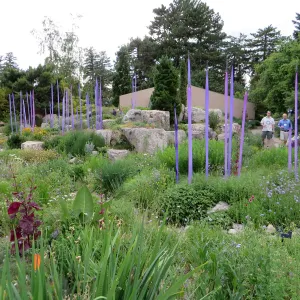 Denver Botanic Garden, APGA meeting. Dale Chihuly scuplture