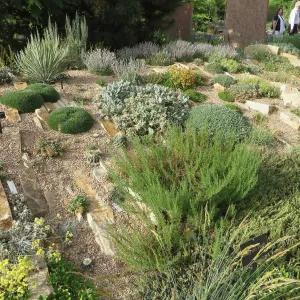 Denver Botanic Garden, APGA meeting