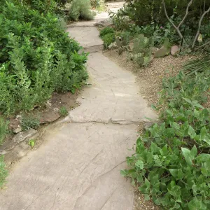 Denver Botanic Garden, APGA meeting
