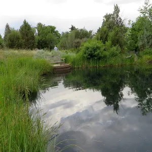 Denver Botanic Garden, APGA meeting