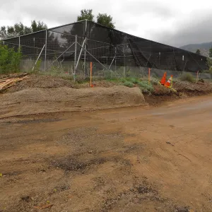 Road behind Hort unit, towards Pritzlaff site