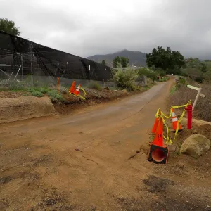 Road behind Hort unit, towards Pritzlaff site