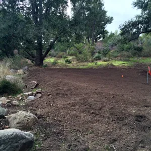 Maze site before planting