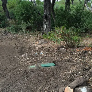 Maze site before planting