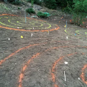 Maze pattern laid out