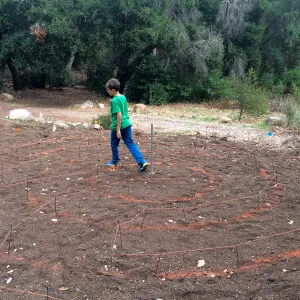 Maze pattern laid out