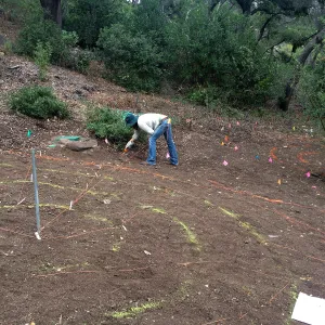 Betsy Lape working on the Maze