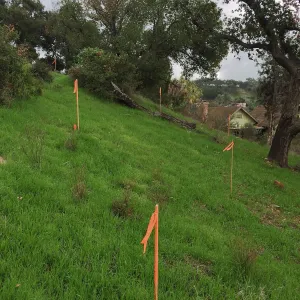 Pritzlaff Construction site, route of new cart path