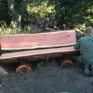 Dave Kershaw creating Jones Bench