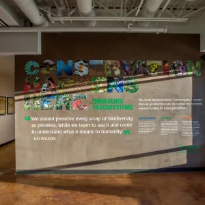 Pritzlaff Conservation Center interior, lobby mural