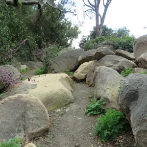 Manzanita Section